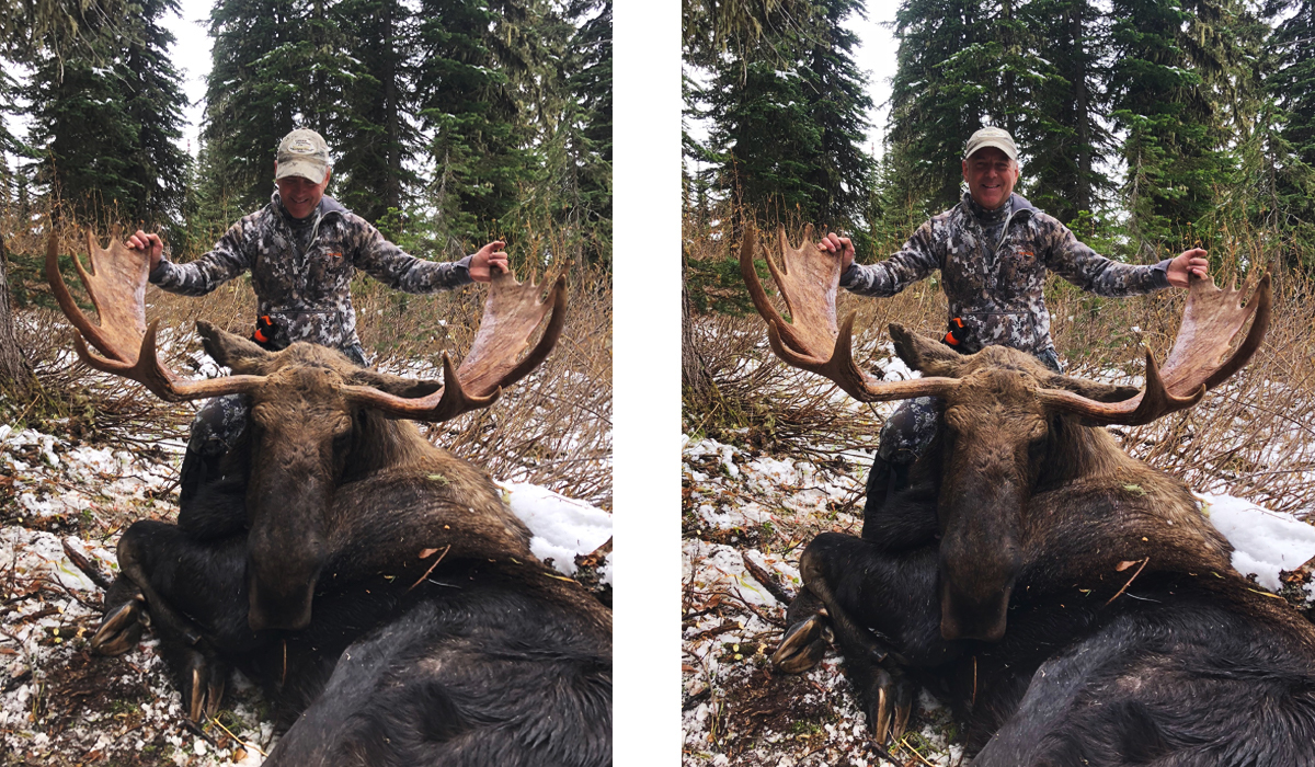 29_Blog_Moose.jpg?mtime=20200206112350#asset:80732