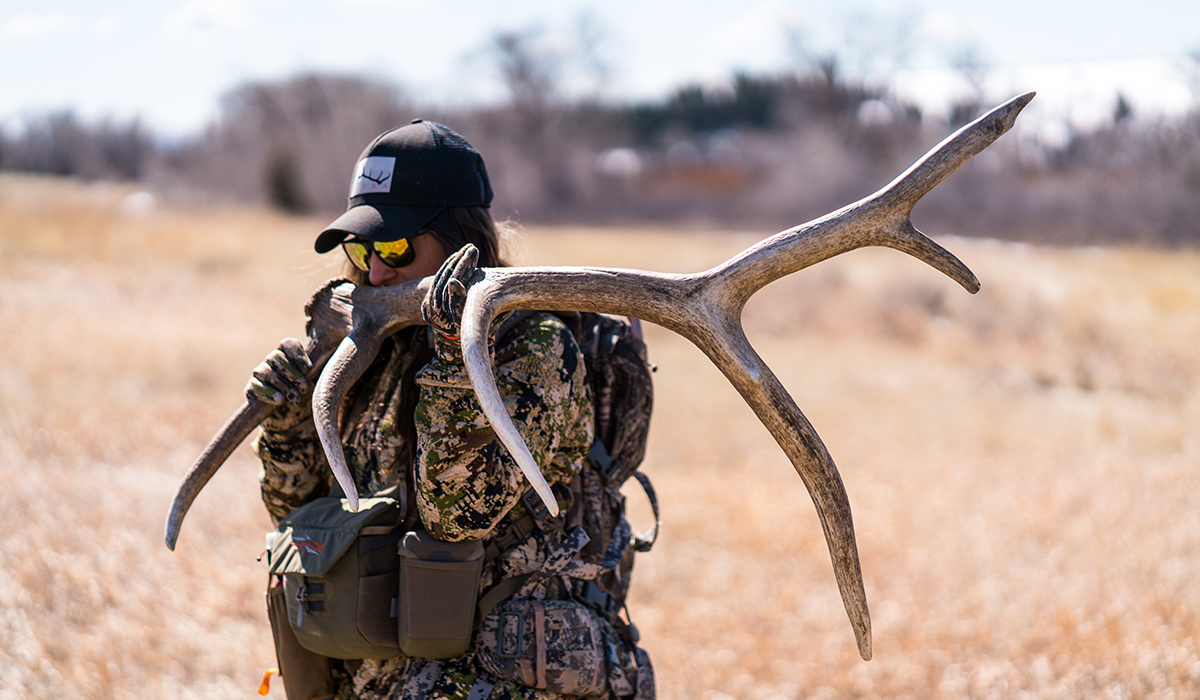 Shed hunter with elk antler found while hunting for sheds in the West. Shed hunter with elk antler found while hunting for sheds in the West.