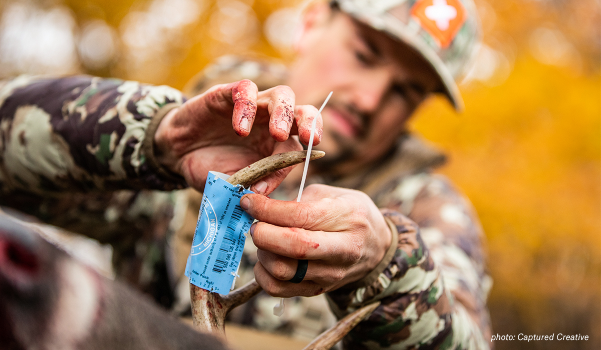 A man putting a tag on a deer he shot while hunting in the Midwest. A man putting a tag on a deer he shot while hunting in the Midwest.