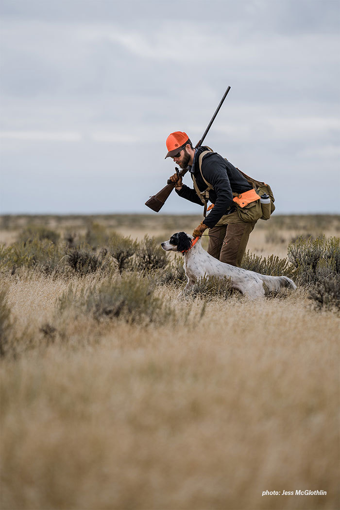 A young setter is held by his owner while hunting sage grouse in eastern Montana. A young setter is held by his owner while hunting sage grouse in eastern Montana.