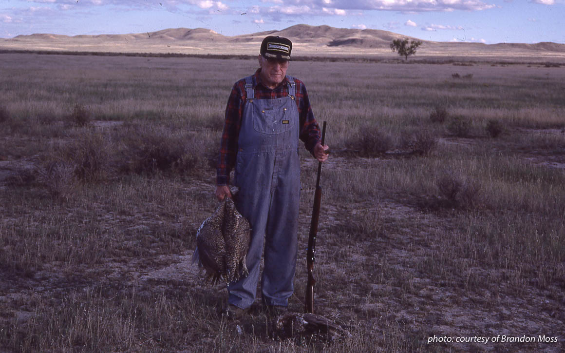 Older man upland hunting in Montana with shotgun and large sage grouse. Older man upland hunting in Montana with shotgun and large sage grouse.