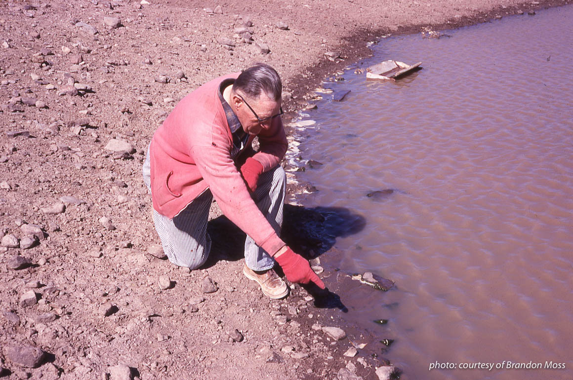 Grandfather man pointing to sage grouse sign at watering hole in Montana. Grandfather man pointing to sage grouse sign at watering hole in Montana.