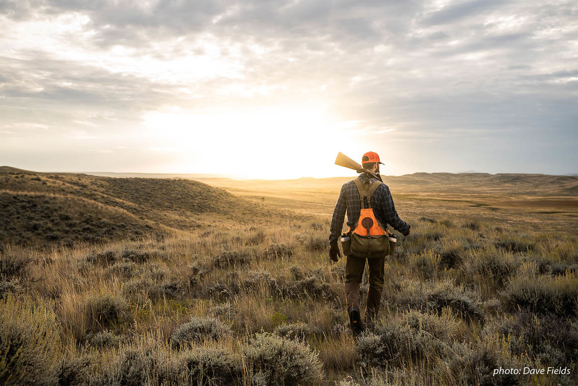 Garrett Mikrut walks into the sunset while upland bird hunting in eastern Montana. Garrett Mikrut walks into the sunset while upland bird hunting in eastern Montana.