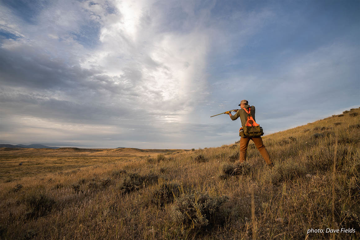 Nick Larson takes aim with his shotgun while upland bird hunting in eastern Montana. Nick Larson takes aim with his shotgun while upland bird hunting in eastern Montana.