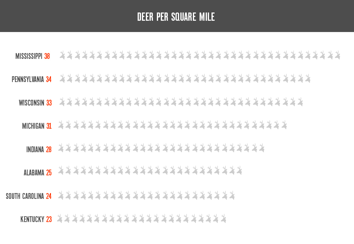 Graphical representation of what states are best for deer hunting based on deer per square mile with Mississippi being the best coming in at 38 deer per square mile, Pennsylvania at 34 deer per square mile, Wisconsin at 33 deer per square mile, Michigan at 31 deer per square mile, Indiana at 28 deer per square mile, Alabama at 25 deer per square mile, South Carolina at 24 deer per square mile, and Kentucky at 23 deer per square mile. Graphical representation of what states are best for deer hunting based on deer per square mile with Mississippi being the best coming in at 38 deer per square mile, Pennsylvania at 34 deer per square mile, Wisconsin at 33 deer per square mile, Michigan at 31 deer per square mile, Indiana at 28 deer per square mile, Alabama at 25 deer per square mile, South Carolina at 24 deer per square mile, and Kentucky at 23 deer per square mile.