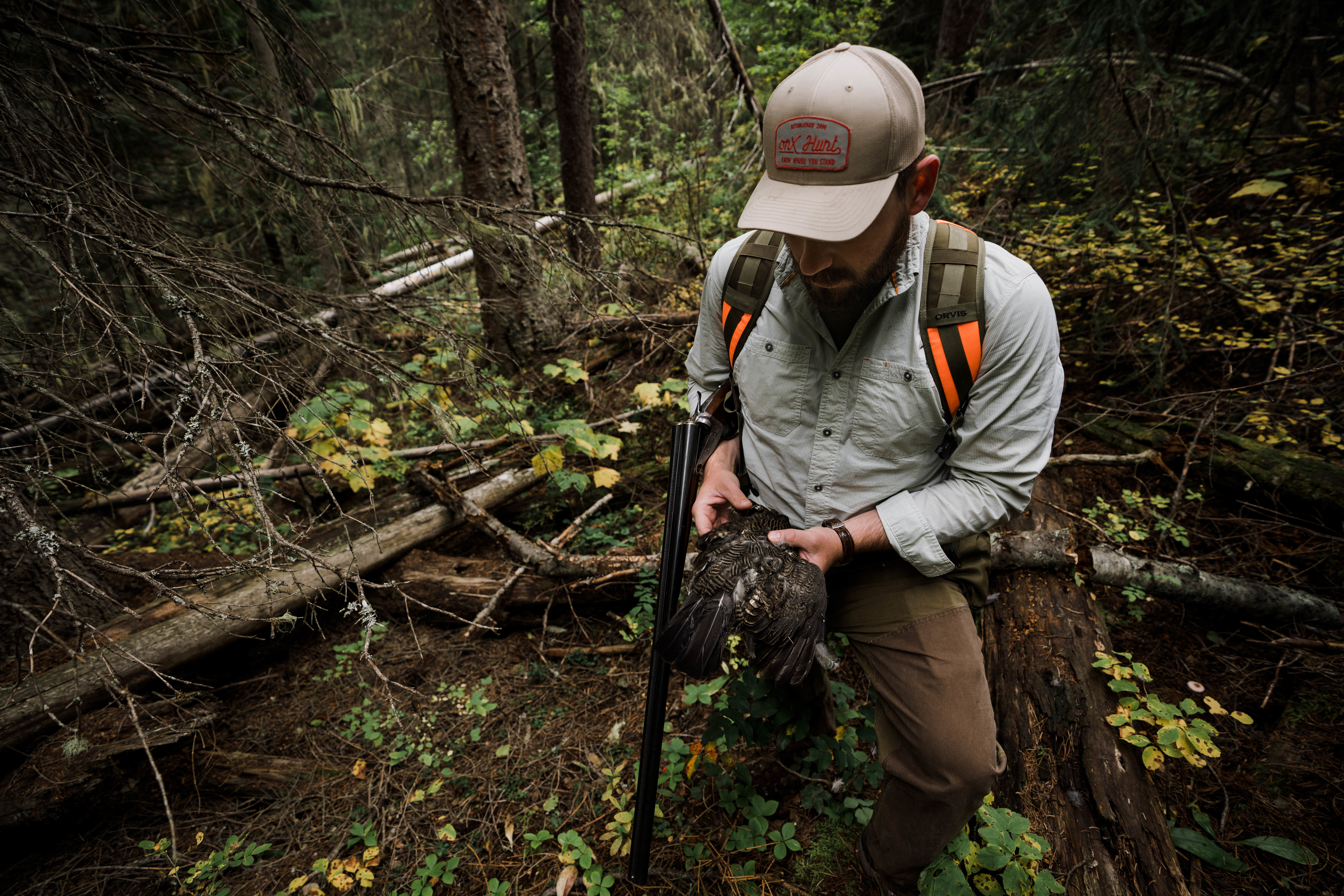A hunter holds a spruce grouse harvested in northwest Montana. A hunter holds a spruce grouse harvested in northwest Montana.