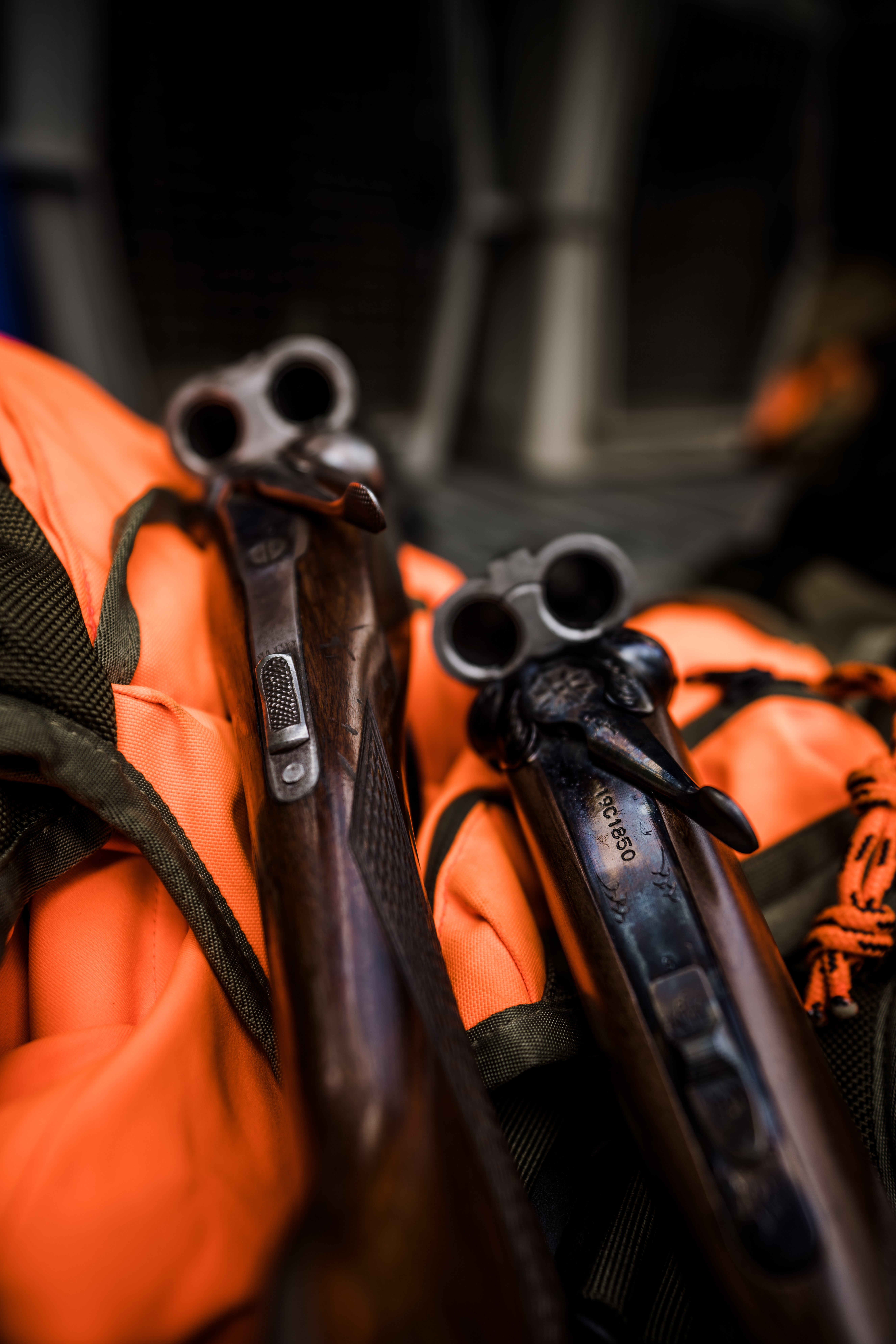 Two side-by-side shotguns rest on an orange upland vest. Two side-by-side shotguns rest on an orange upland vest.