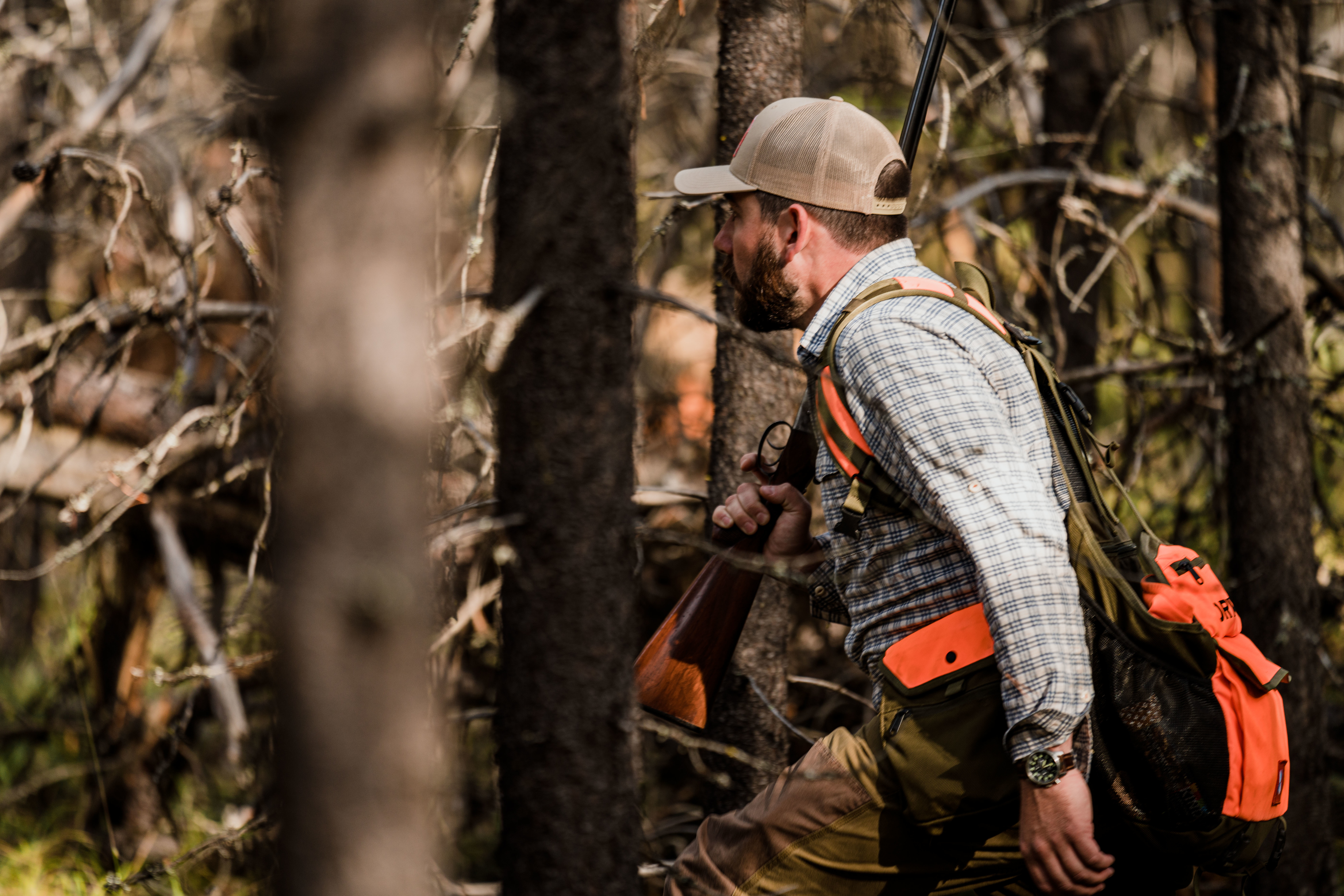 A hunter walks through thick woods while grouse hunting in northwest Montana. A hunter walks through thick woods while grouse hunting in northwest Montana.