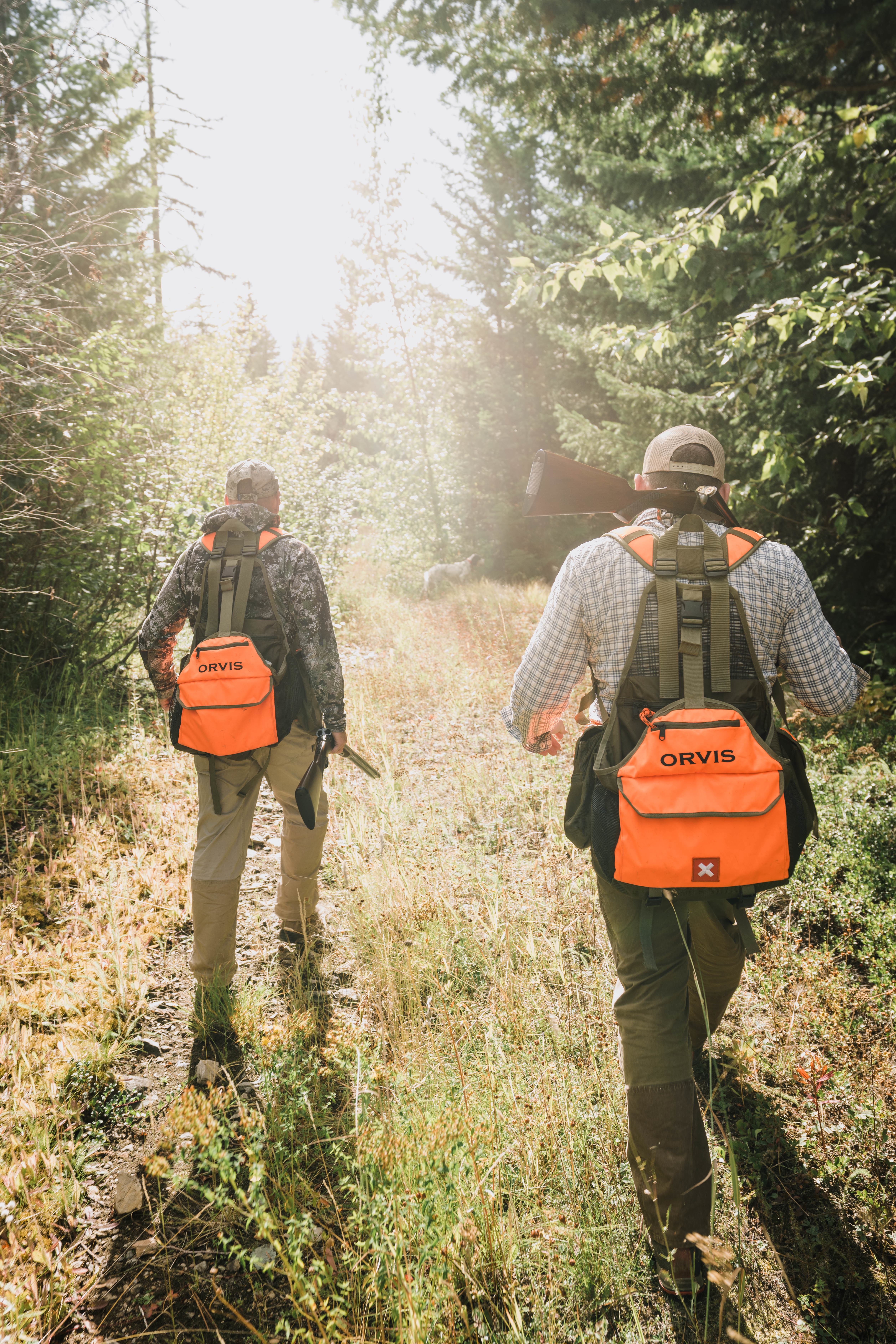 Two grouse hunters walk up a trail in northwest Montana. Two grouse hunters walk up a trail in northwest Montana.