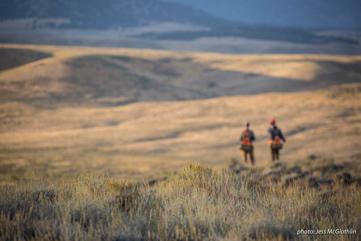 Men overlooking sage-covered hillside while upland bird hunting in eastern Montana at sunset. Men overlooking sage-covered hillside while upland bird hunting in eastern Montana at sunset.