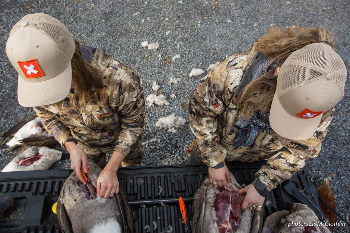Two female hunters breast out geese on the tailgate of a truck. Two female hunters breast out geese on the tailgate of a truck.