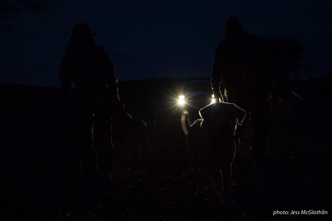Two hunters walk with a dog in darkness, illuminated by truck headlights. Two hunters walk with a dog in darkness, illuminated by truck headlights.