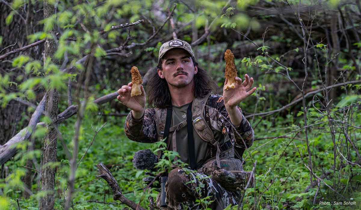 A morel mushroom hunter in thick woods with two big mushrooms. A morel mushroom hunter in thick woods with two big mushrooms.