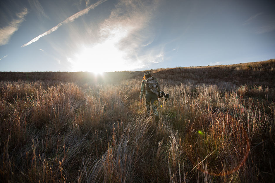 Image of female hunter in camo with a bow walking into the sunset in a field on Western public lands. Image of female hunter in camo with a bow walking into the sunset in a field on Western public lands.