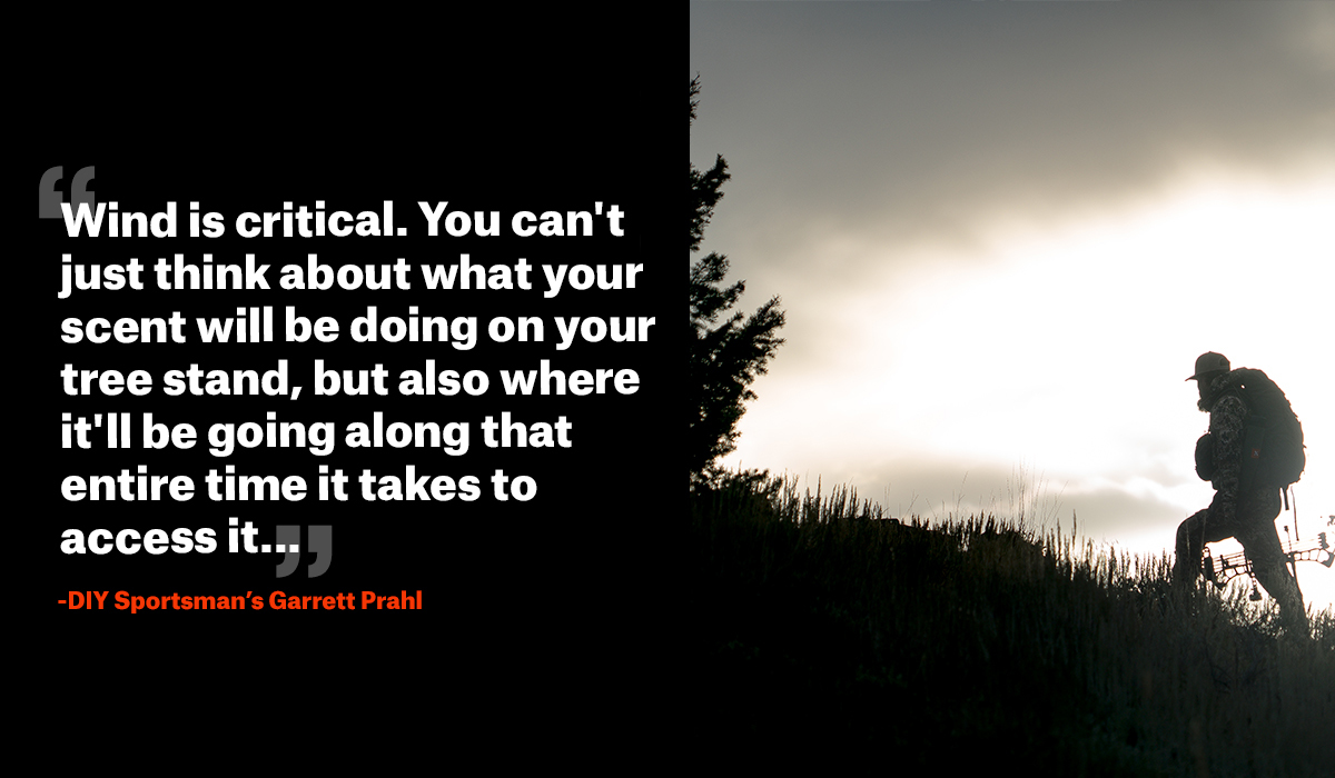 Pull-Quote-3_-1.jpg?mtime=20200805111149#asset:85035