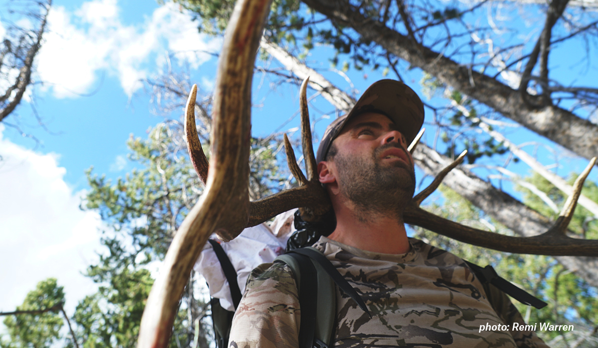 Remi Warren packs out an elk. Remi Warren packs out an elk.