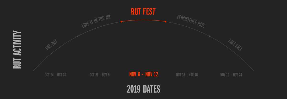Rut activity chart showing Rut Fest section of bell curve, designed by onX Hunt. Rut activity chart showing Rut Fest section of bell curve, designed by onX Hunt.
