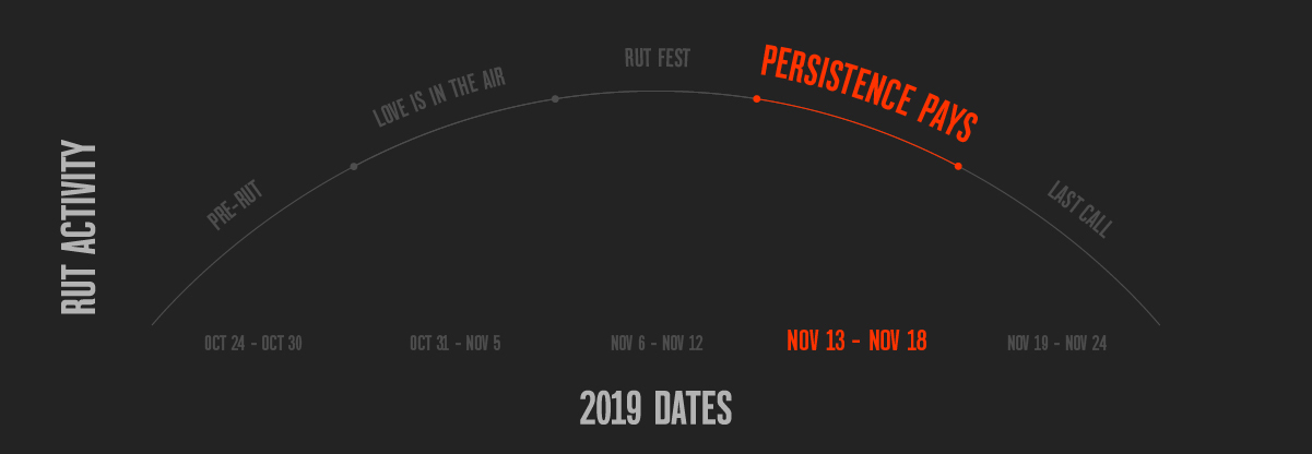 Rut activity chart showing Persistence Pays section of bell curve, designed by onX Hunt. Rut activity chart showing Persistence Pays section of bell curve, designed by onX Hunt.