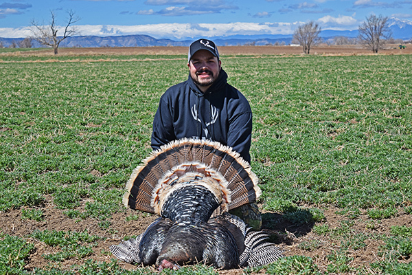 Man with Merriam's turkey shot in a green field near Colorado Springs, Colorado. Man with Merriam's turkey shot in a green field near Colorado Springs, Colorado.
