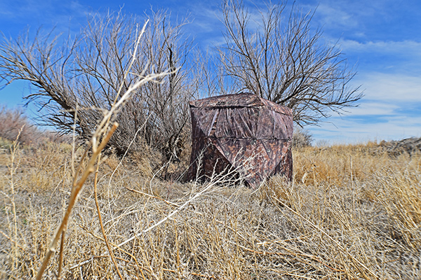 Turkey hunting blind set in a field for hunting near Colorado Springs, Colorado. Turkey hunting blind set in a field for hunting near Colorado Springs, Colorado.