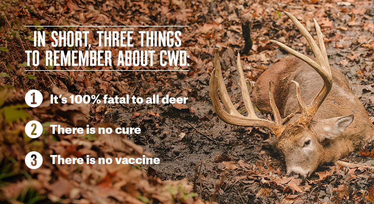 Three things to remember about Chronic Wasting Disease. Three things to remember about Chronic Wasting Disease.