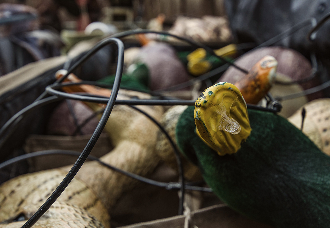Duck hunting decoys in a boat preparing to be placed in the water. Duck hunting decoys in a boat preparing to be placed in the water.