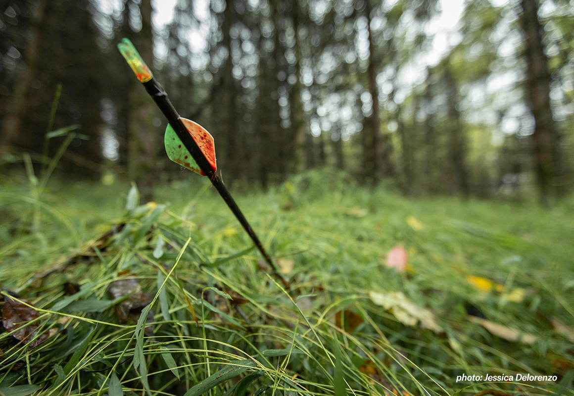 Image of bloody fletching on bow while archery hunting. Image of bloody fletching on bow while archery hunting.