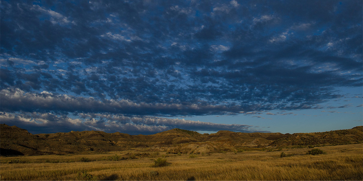 eastern Montana archery hunt