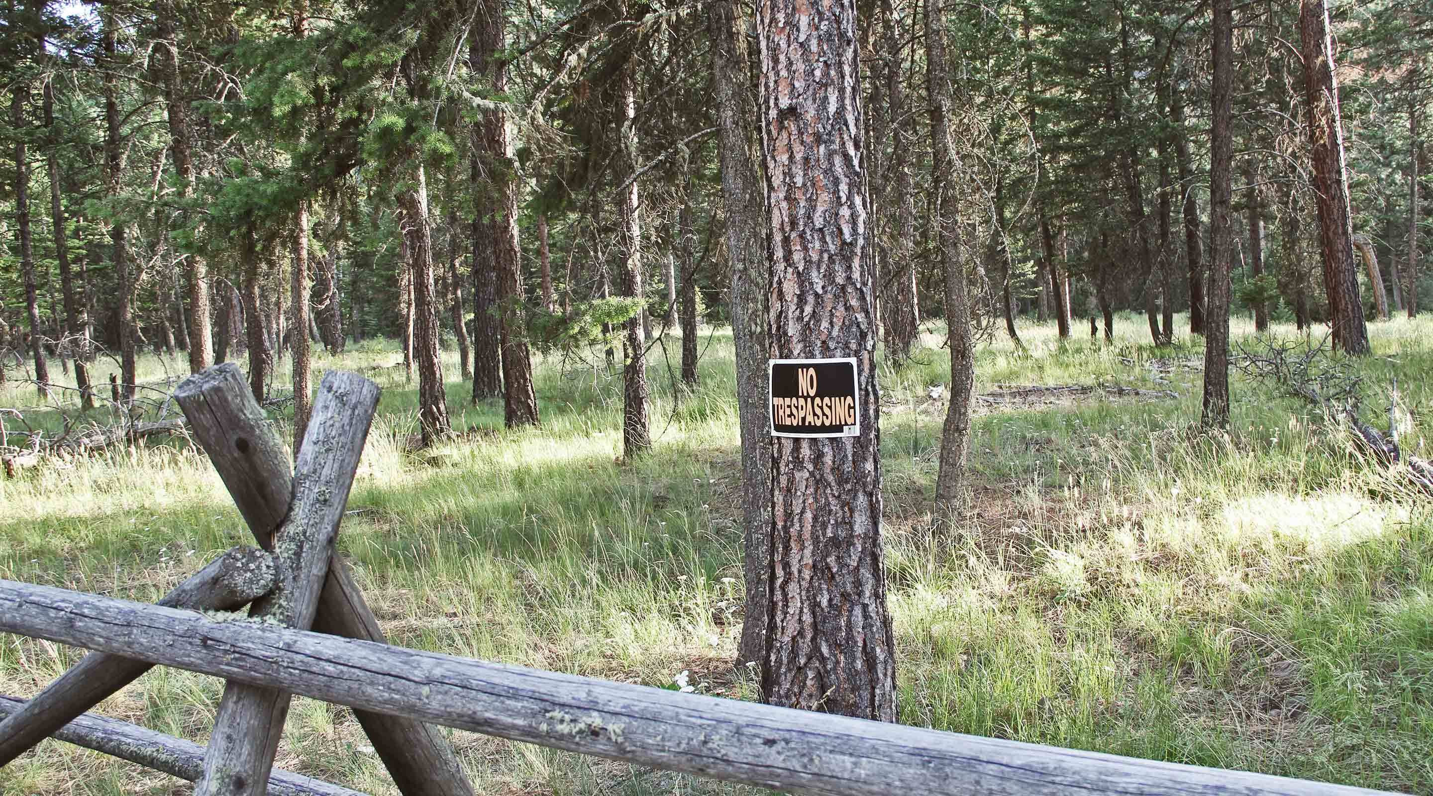 fence-line-asking-permission.jpg?mtime=20171011092341#asset:13215