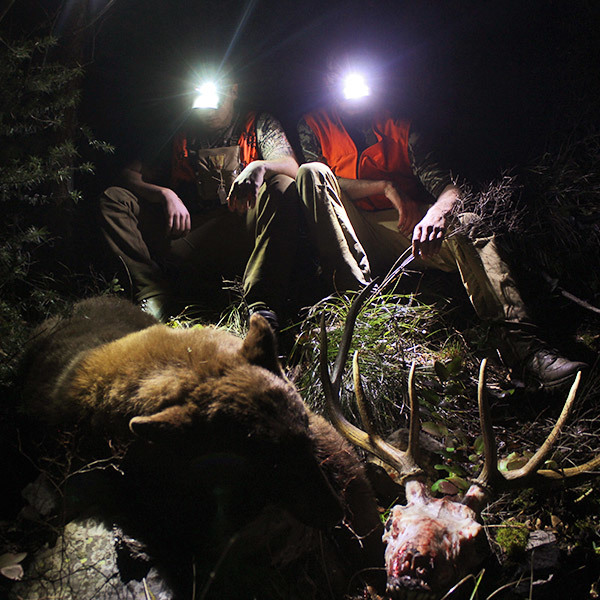 hunters-and-harvests-at-night.jpg?mtime=20170623151500#asset:2746