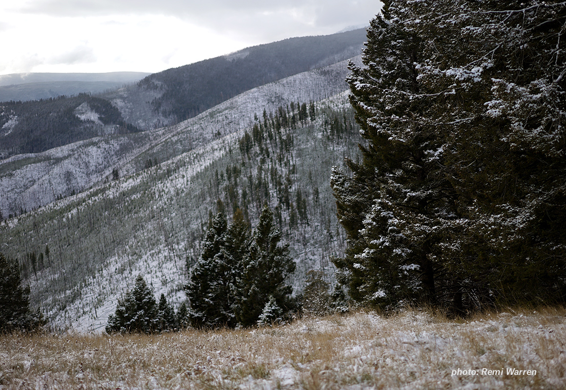Image of wildfire burn area in the mountains with snow. Image of wildfire burn area in the mountains with snow.