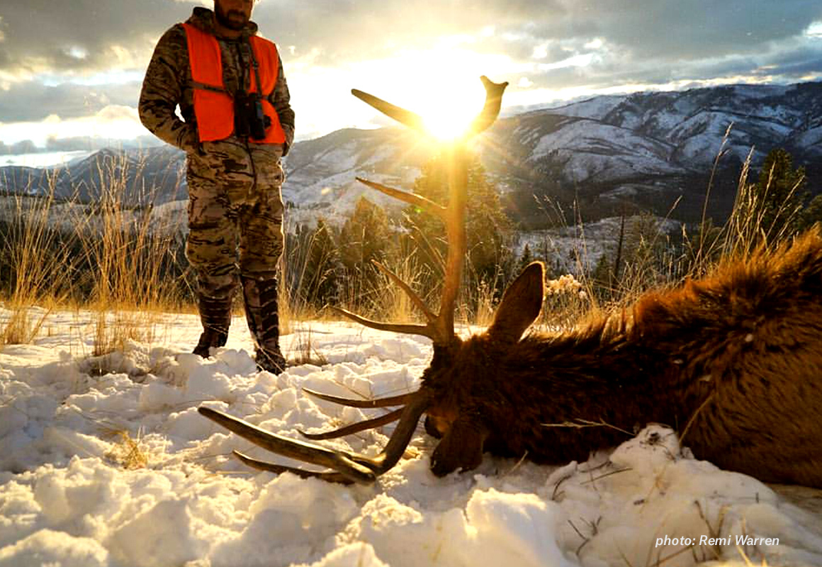 Man dressed in camouflage looks down at a dead elk in snow with sunset, shot while hunting. Man dressed in camouflage looks down at a dead elk in snow with sunset, shot while hunting.
