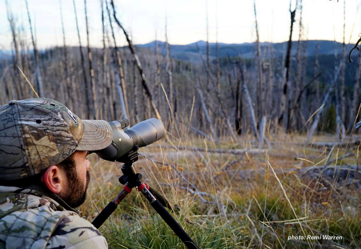 Man glasses for elk in a burn area in the mountains. Man glasses for elk in a burn area in the mountains.