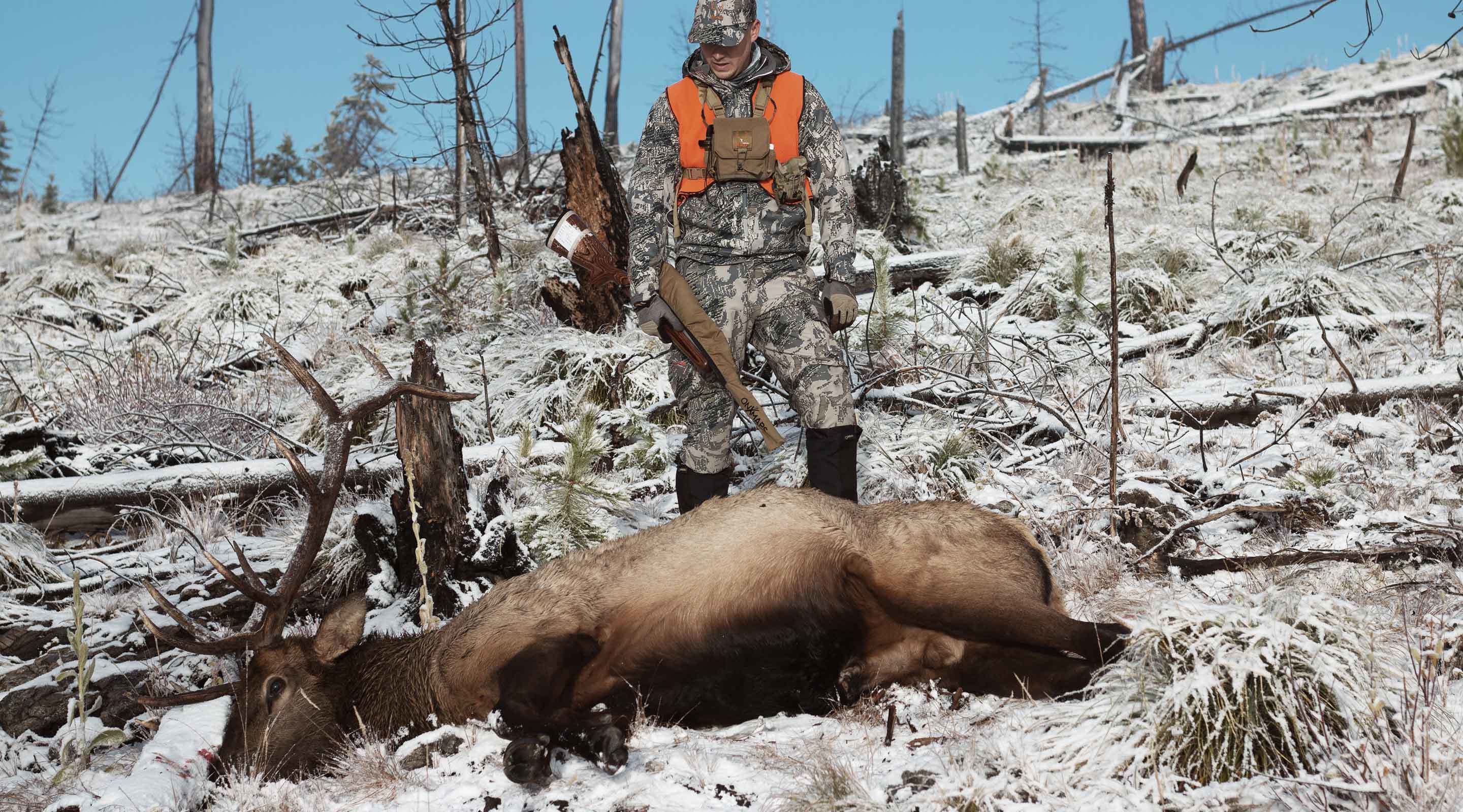 A late-season bull elk shot in the snow in Montana. A late-season bull elk shot in the snow in Montana.