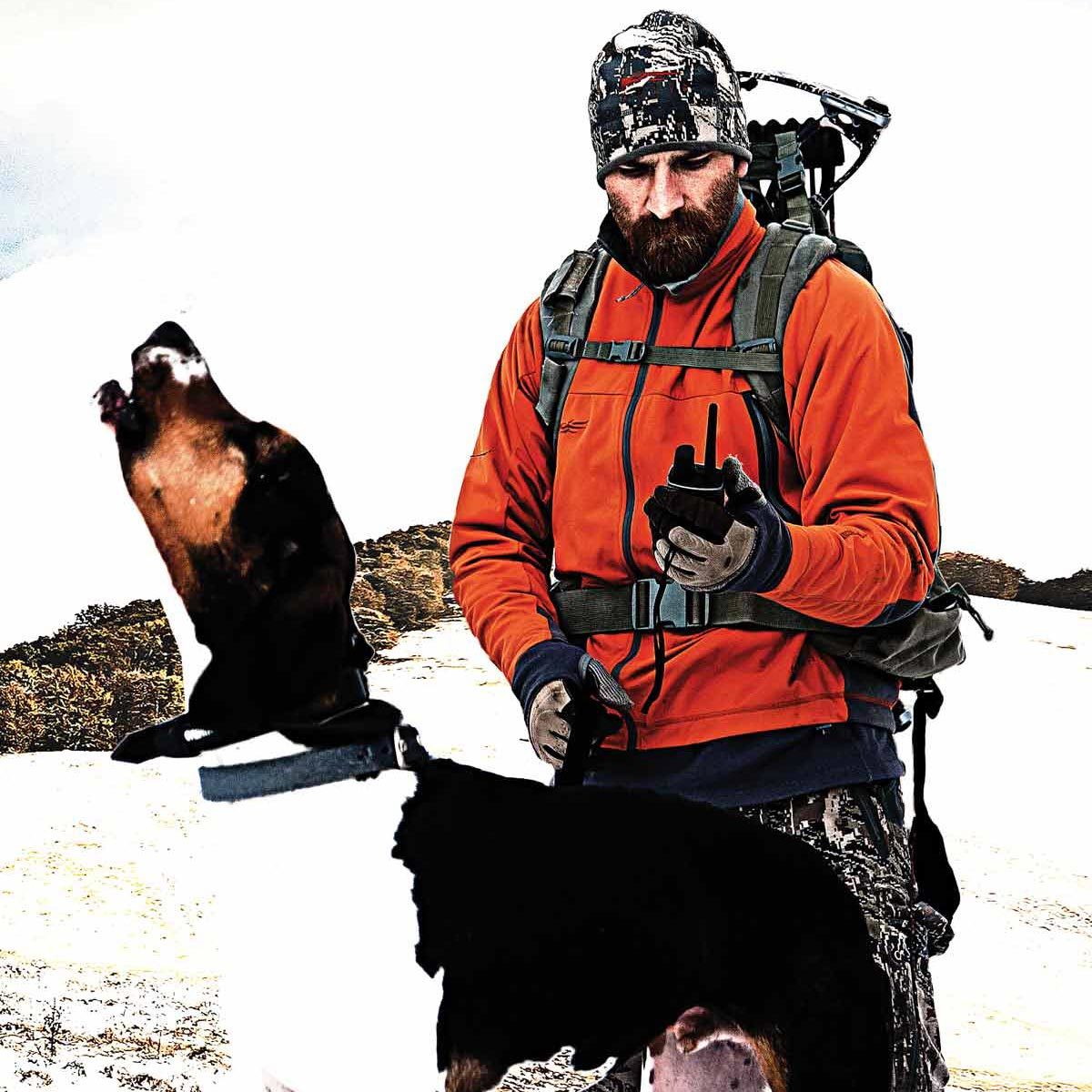 jason matzinger hunting dog jason matzinger hunting dog