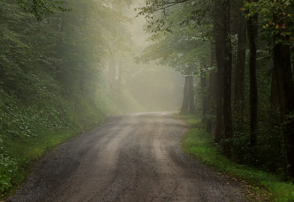 misty-landscape-2.jpg?mtime=20171115131738#asset:16822