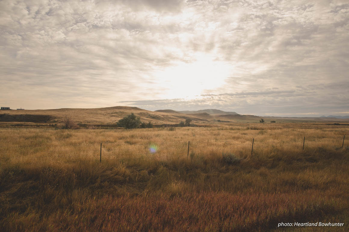Open grassy field in autumn. Open grassy field in autumn.
