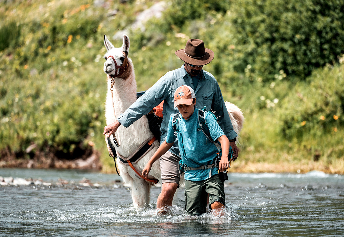 Marcus the Public Lands Llama wades a creek with two hikers in Yellowstone National Park. Marcus the Public Lands Llama wades a creek with two hikers in Yellowstone National Park.