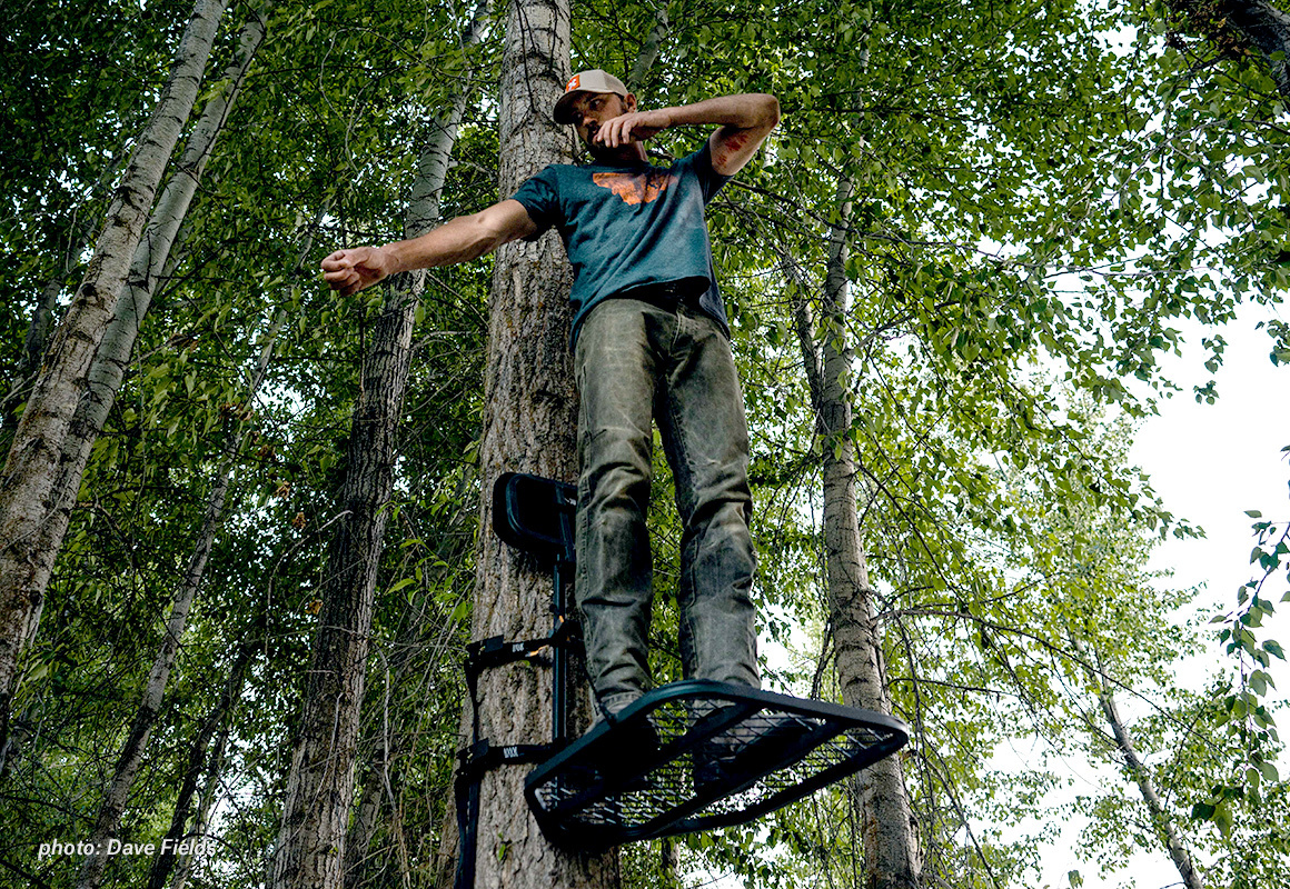 Man in treestand looking a potential shots for archery hunting deer. Man in treestand looking a potential shots for archery hunting deer.