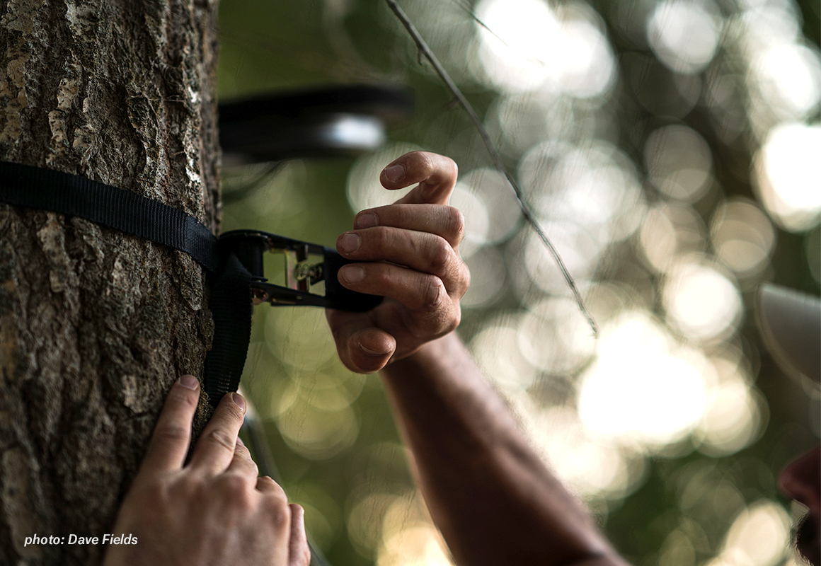 Man securing tree stand into tree with ratchet strap. Man securing tree stand into tree with ratchet strap.