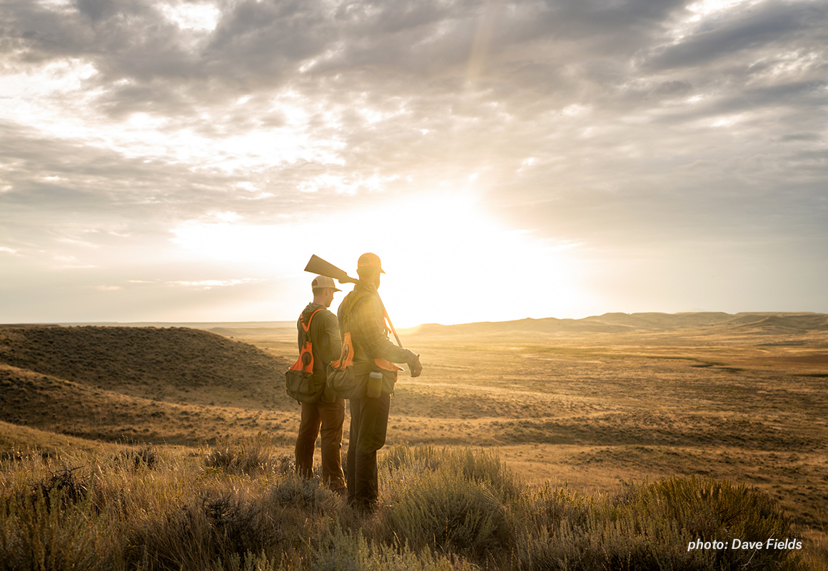 Two upland hunters look over the prairie at sunset Two upland hunters look over the prairie at sunset