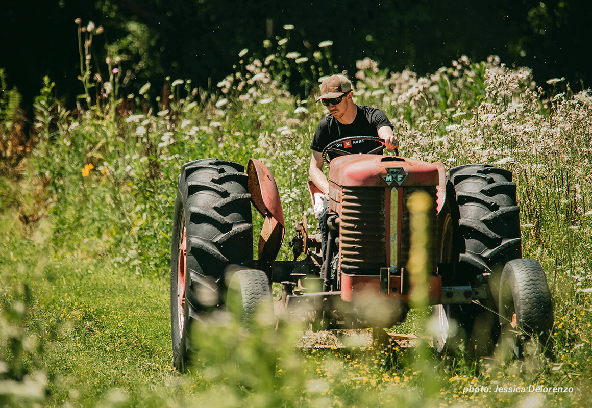 Man on tractor working field foot plot before whitetail deer hunting season. Man on tractor working field foot plot before whitetail deer hunting season.