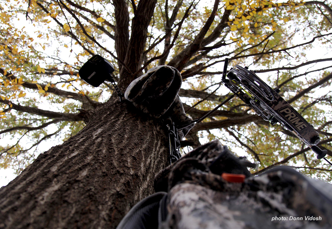 Man climbing into a tree stand with a bow to bowhunt whitetail deer. Man climbing into a tree stand with a bow to bowhunt whitetail deer.