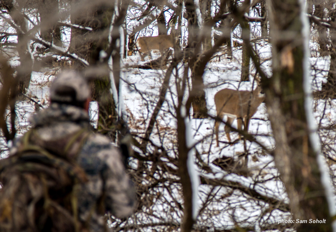Man hunting whitetail deer in snowy mountains. Man hunting whitetail deer in snowy mountains.