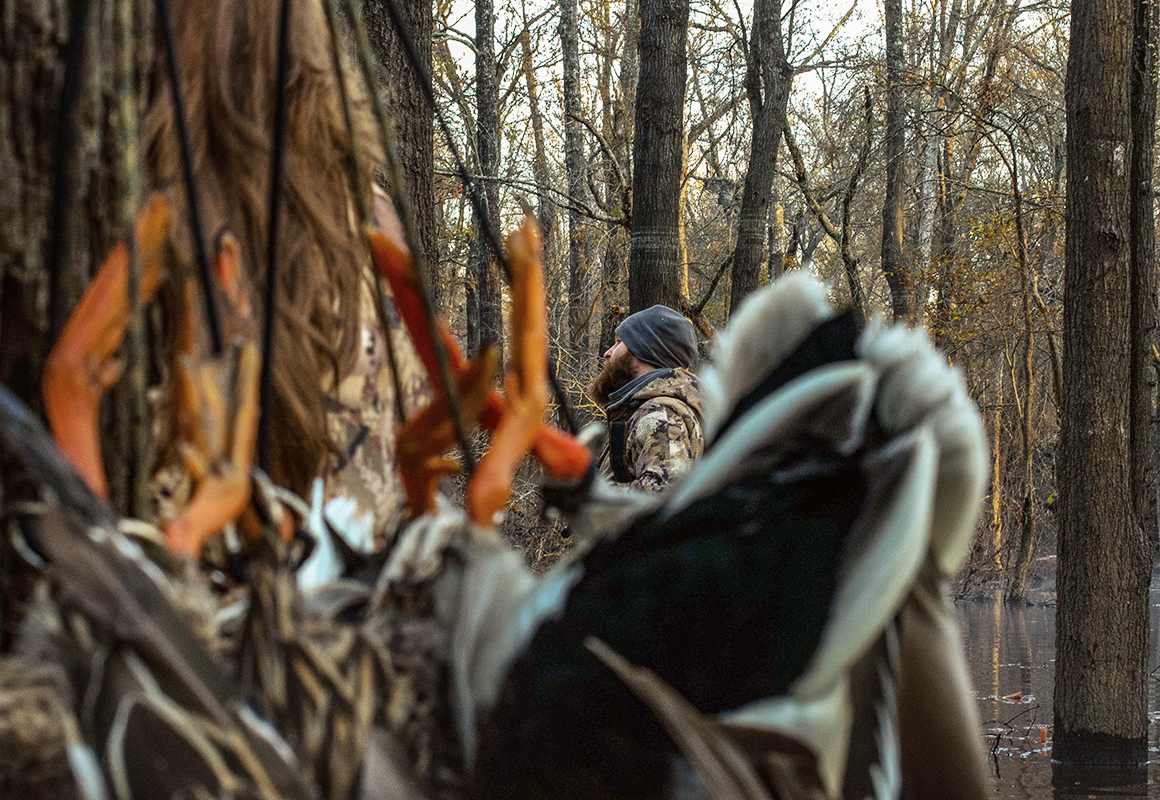 Mallards with orange feet hung while hunting with a hunter in waterfowl camo in the background. Mallards with orange feet hung while hunting with a hunter in waterfowl camo in the background.