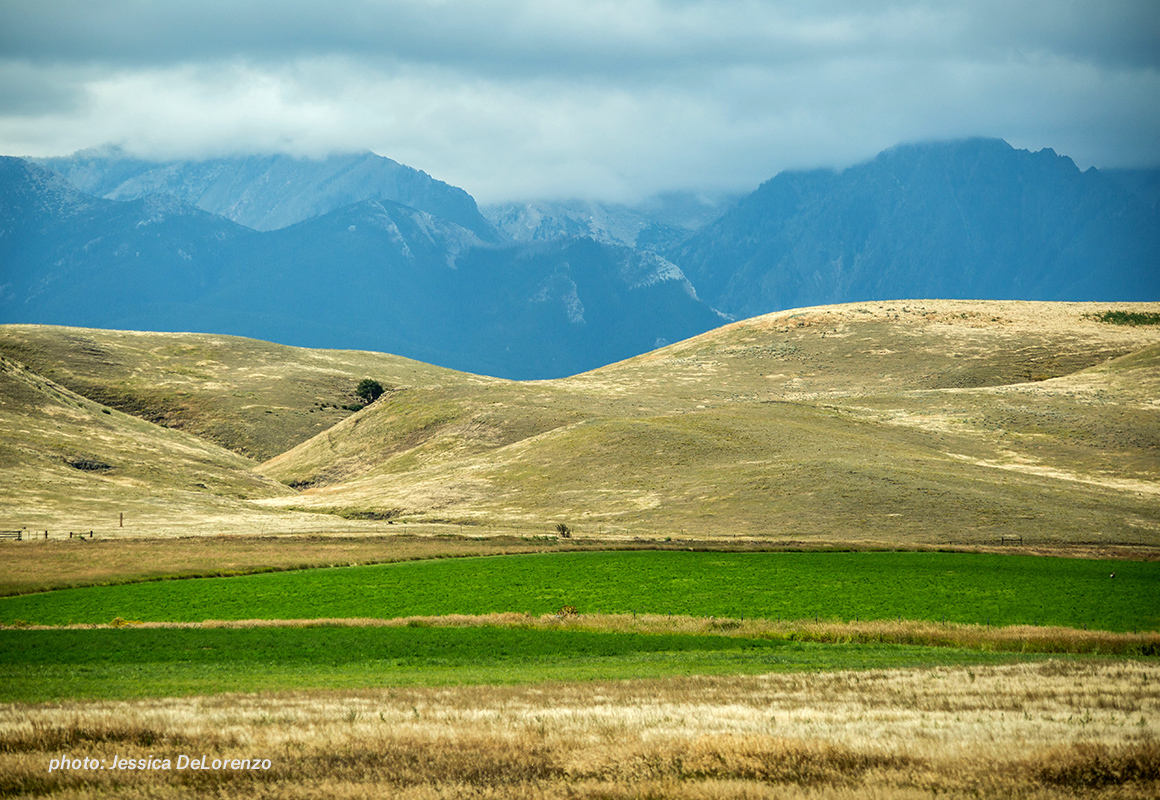 Field with mountains Field with mountains