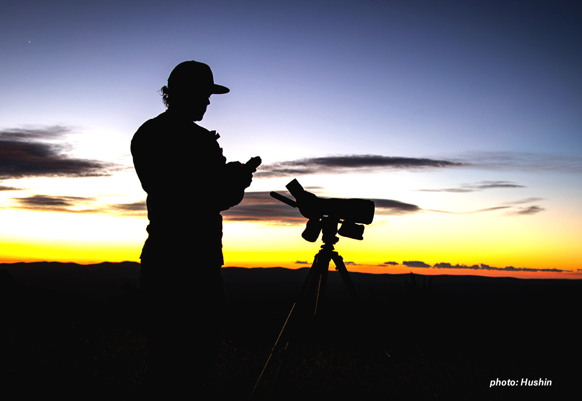 scouting-at-dawn-hushin.jpg?mtime=20190402110902#asset:61966