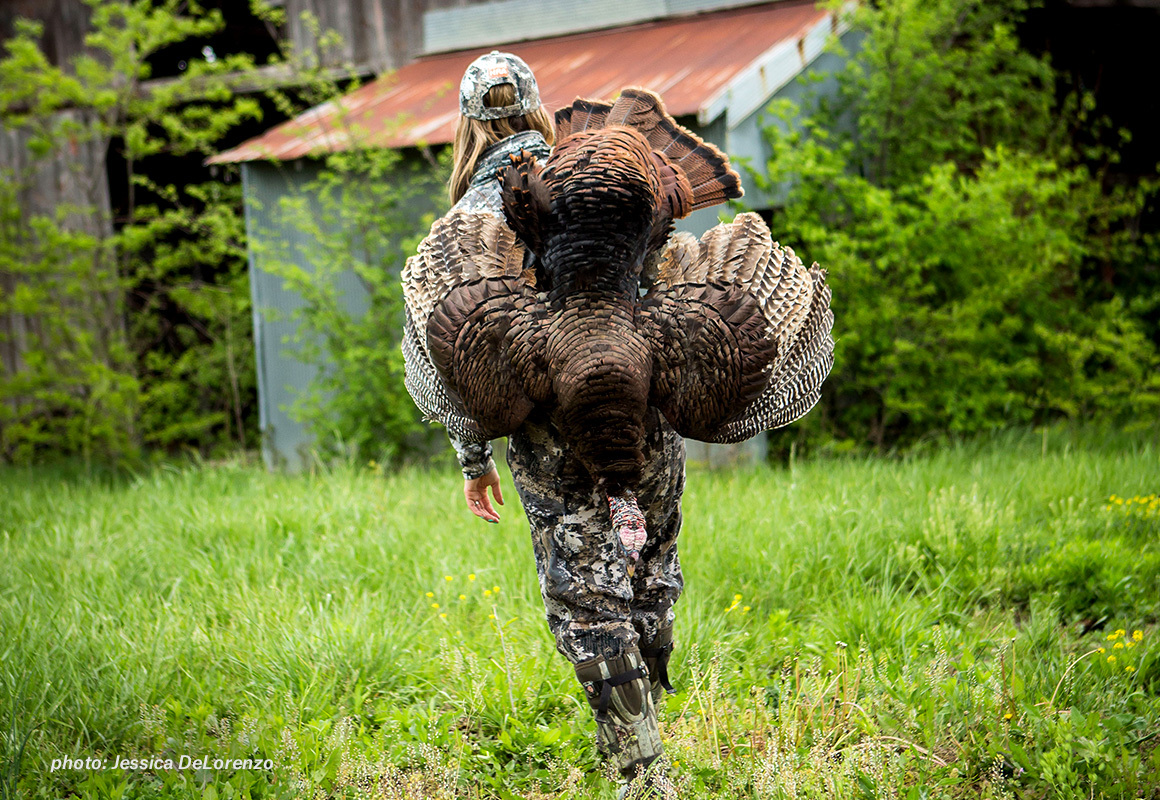 Woman in camo walking with turkey over her shoulder after hunting. Woman in camo walking with turkey over her shoulder after hunting.