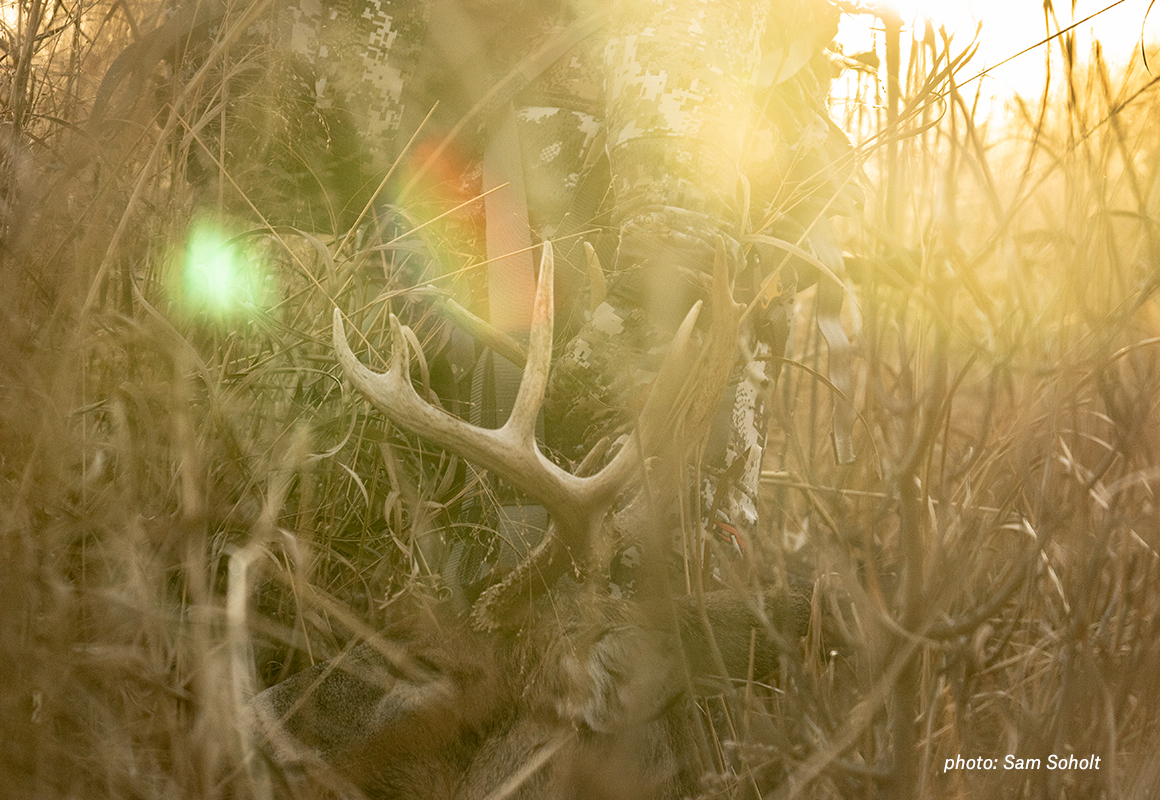 Man dragging deer shot while hunting through tall grass in golden light. Man dragging deer shot while hunting through tall grass in golden light.