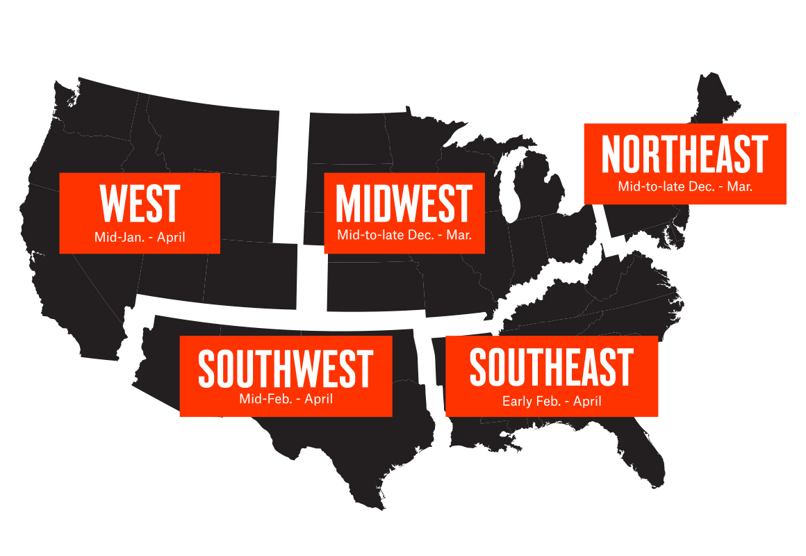 Infographic of American broken out by region showing the best shed hunting dates. Infographic of American broken out by region showing the best shed hunting dates.